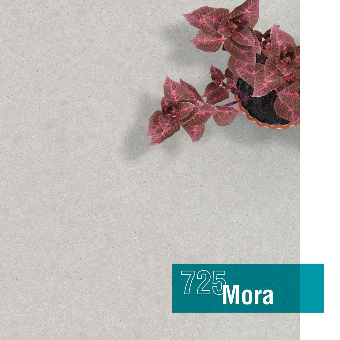 MORA